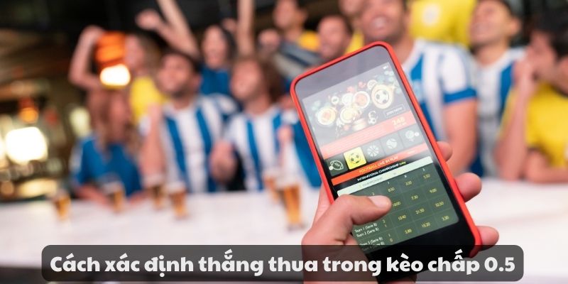 Kèo chấp 0.5 trong cá cược bóng đá và kinh nghiệm đặt cược 4 image 104