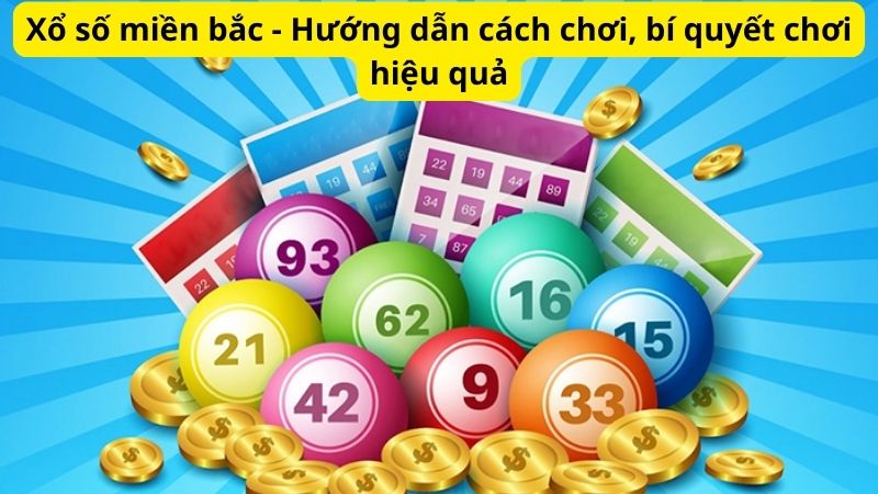 Xổ số miền bắc - Hướng dẫn cách chơi, bí quyết chơi hiệu quả 1 Xổ số miền bắc - Hướng dẫn cách chơi, bí quyết chơi hiệu quả