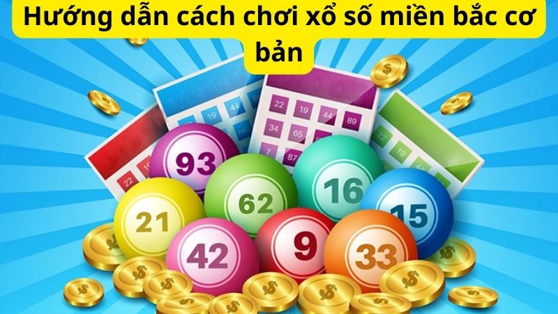 Xổ số miền bắc - Hướng dẫn cách chơi, bí quyết chơi hiệu quả 3 Hướng dẫn cách chơi xổ số miền bắc cơ bản