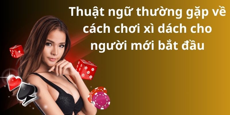 Bật mí cách chơi xì dách cho người mới bắt đầu 2024 4 image 204