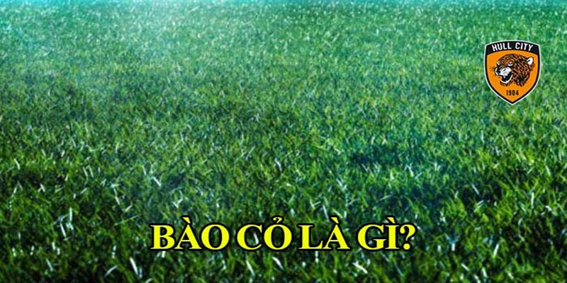 Thuật Ngữ Bào Cỏ Trong Cá Cược Bóng Đá Cho Người Mới 2 Bào cỏ là gì?
