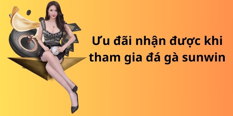 Đá gà sunwin: Nơi hội tụ những chiến kê hàng đầu 4 image 310