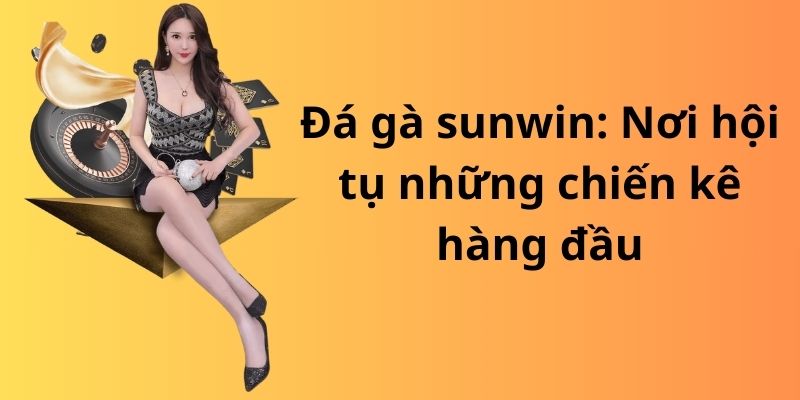 Đá gà sunwin: Nơi hội tụ những chiến kê hàng đầu 1 image 313