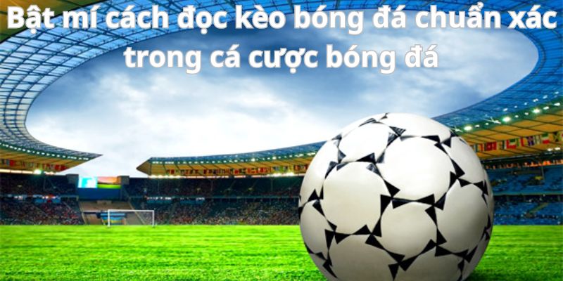 Bật mí cách đọc kèo bóng đá chuẩn xác trong cá cược bóng đá 1 Bật mí cách đọc kèo bóng đá chuẩn xác trong cá cược bóng đá