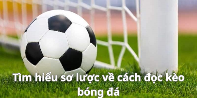 Bật mí cách đọc kèo bóng đá chuẩn xác trong cá cược bóng đá 2 Tìm hiểu sơ lược về cách đọc kèo bóng đá