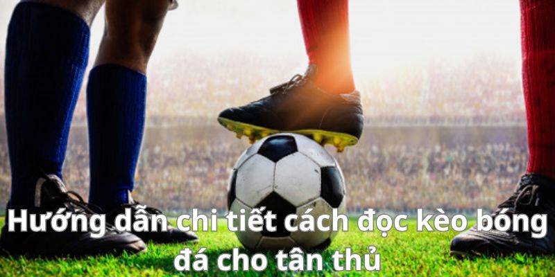 Bật mí cách đọc kèo bóng đá chuẩn xác trong cá cược bóng đá 3 Hướng dẫn chi tiết cách đọc kèo bóng đá cho tân thủ