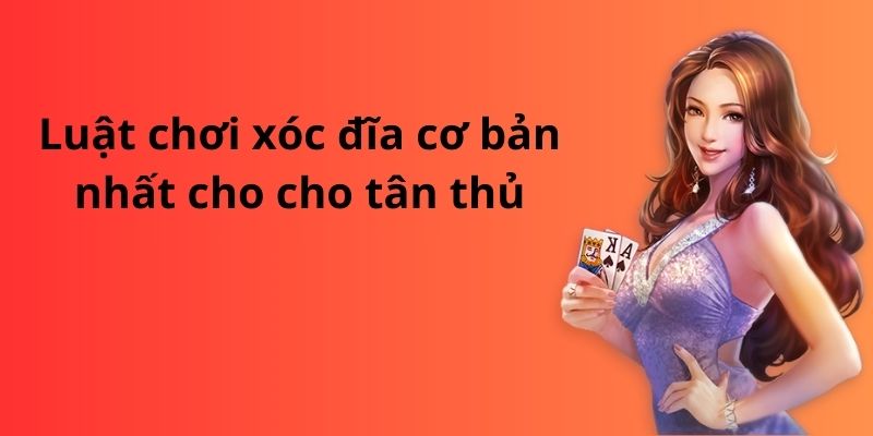 Hướng dẫn chi tiết cách chơi xóc đĩa luôn thắng cho tân thủ 3 Luật chơi xóc đĩa cơ bản nhất cho cho tân thủ