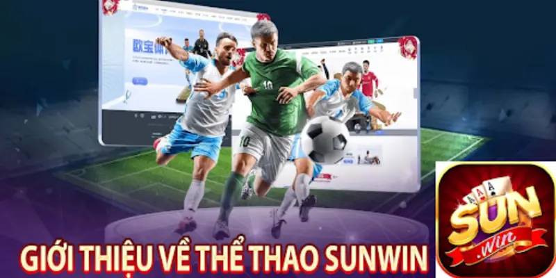 Thể Thao SUNWIN - Sân Chơi Các Cược Uy Tín Đỉnh Cao 11 Để thành công trong sunwin betting, bạn cần có chiến thuật tốt